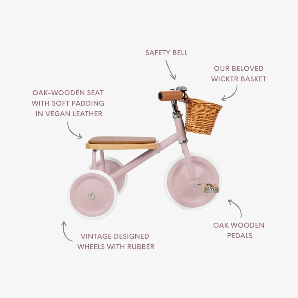 BANWOOD TRICICLO- DUSTY PINK