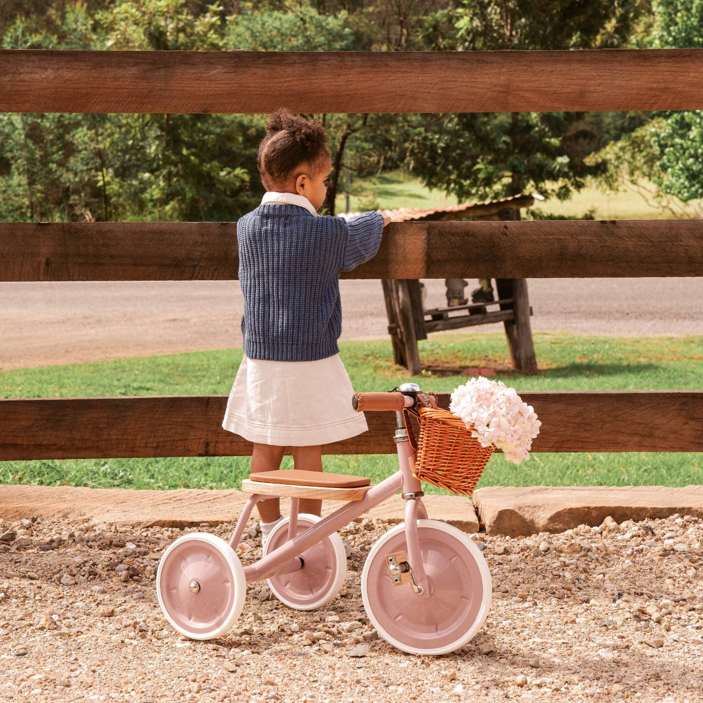 BANWOOD TRICICLO- DUSTY PINK