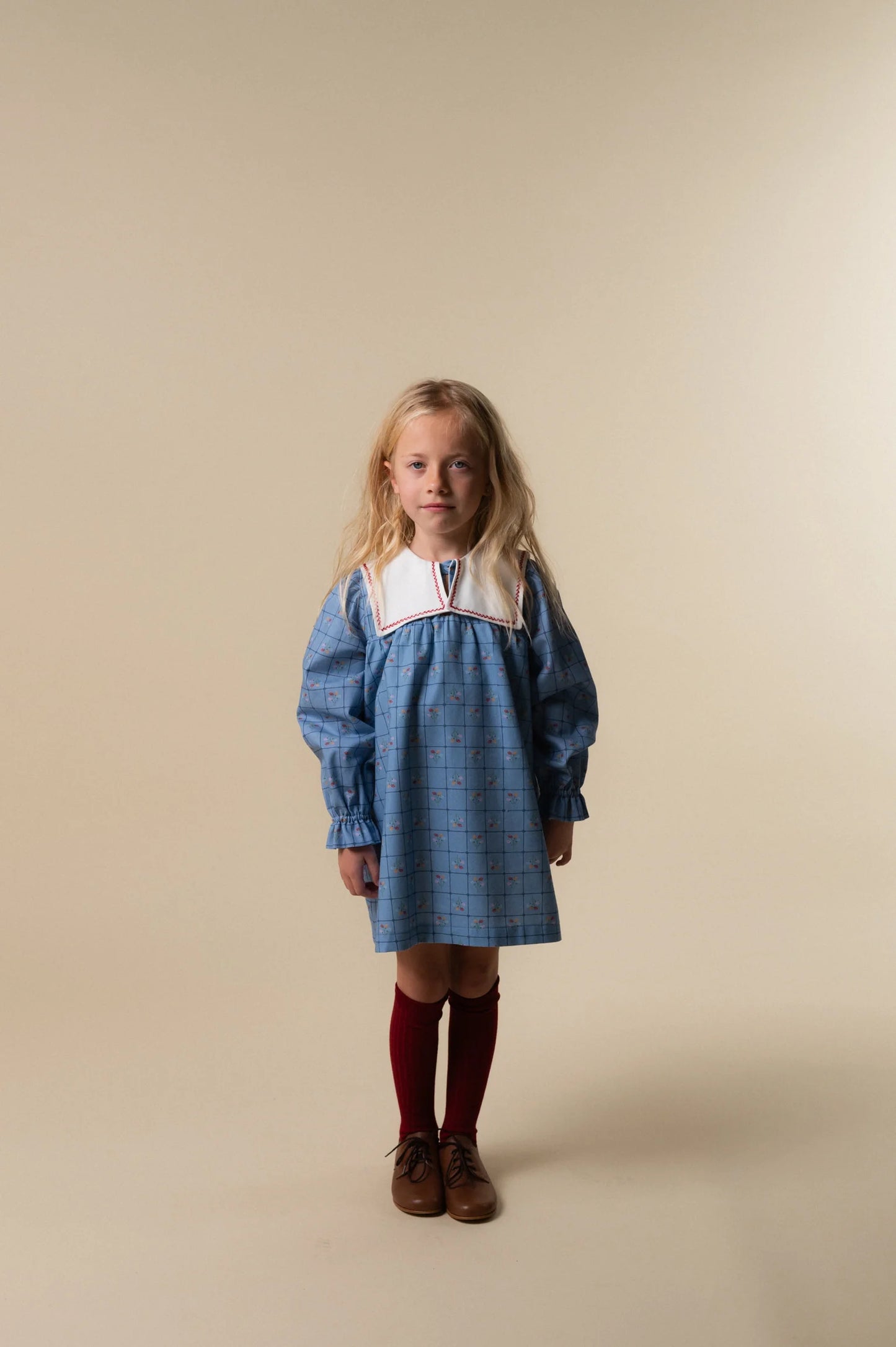 CATHERINA VESTIDO BORDADO